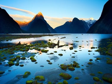 Milford Sound, Fiordland National Park