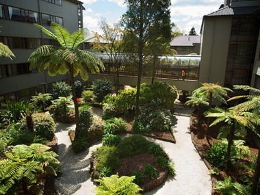 Millennium Hotel internal garden
