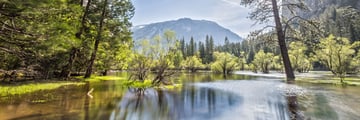 Mirror Lake