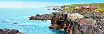 Mistaken Point Ecological Reserve, Newfoundland & Labrador, Avalon Barrett Mackay