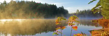Misty lake at sunrise in Provincial Park, Ontario