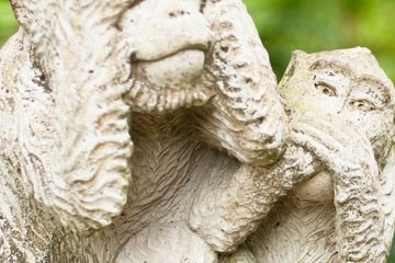 The Monkey Forest in Ubud