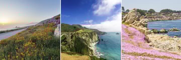 Monterey & Carmel, California
