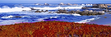 Monterey coast