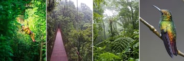 Monteverde activities & scenery