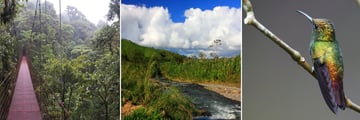 Monteverde scenery
