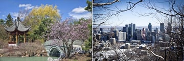 Botanical Gardens and a snowy skyline in Montreal City, Quebec