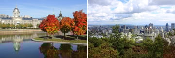 Montreal Cityscapes