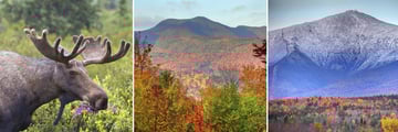 Wildlife & Scenery in the White Mountains & Mount Washington
