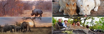 Motswari Game Lodge, Kruger National Park