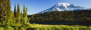 Mount Rainier National Park