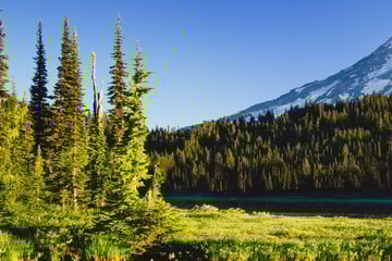 Mount Rainier National Park