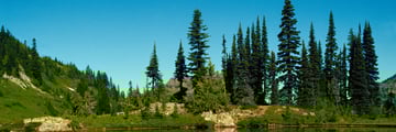 Mount Rainier, Washington State