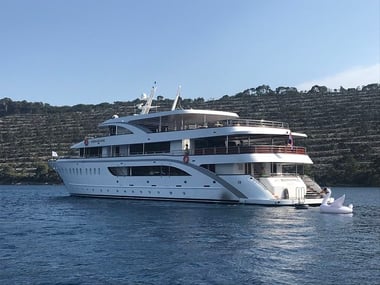 MS Ambassador