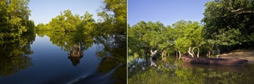 Local Scenery Viewed on Boat Trips at Msambweni Beach House & Private Villas
