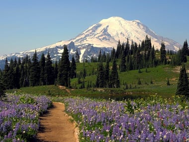 Mt Rainier Natinal Park - Deby Dixon