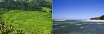 Munduk rice terraces & Sanur beachfront