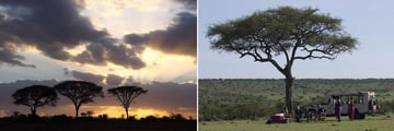 Nairobi National Park & Porini Amboseli Camp
