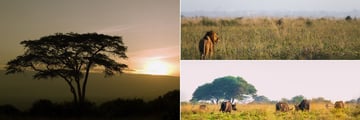 Nairobi National Park