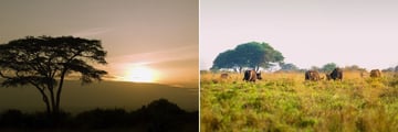 Nairobi Tented Camp landscapes