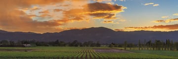 Napa Valley sunset