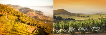 Napa Valley, California