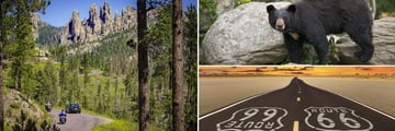 Needles Highway, black bears and the Route 66 highway