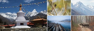 Chitwan National Park, Himalayas & Temples of Nepal