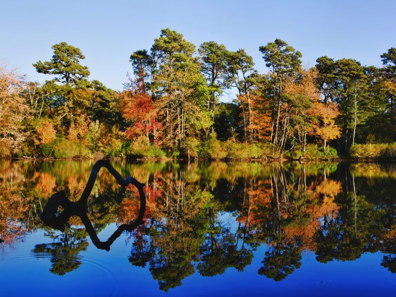 New England