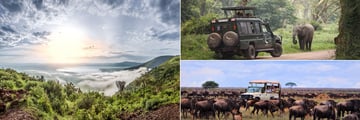 Ngorongoro Crater & Wildlife Sightings