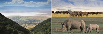 Ngorongoro Crater