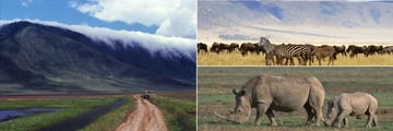 Ngorongoro Crater