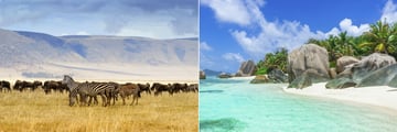 Ngorongoro zebras & wildebeeste and Anse Source D'Argent Beach in the Seychelles