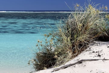 Ningaloo Beach