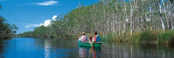 Noosa everglades, Sunshine Coast