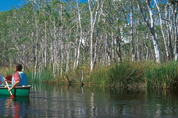 Noosa everglades, Sunshine Coast