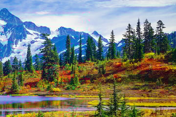 North Cascades National Park