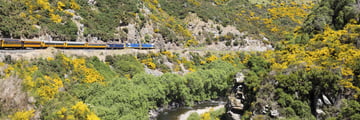 Railway journeys through Taieri Gorge