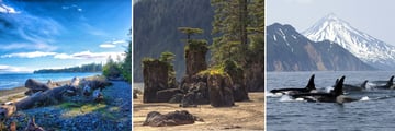 Northern Vancouver Island, Cape Scott Provincial Park & Orca Sightings
