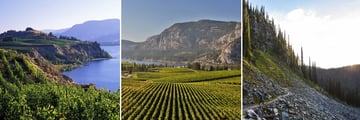 Okanagan Valley & Mount Revelstoke Scenery, Canada