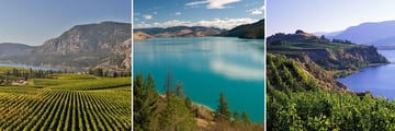 The vineyards & lakes in Okanagan Valley