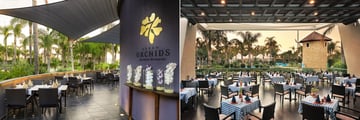 Olympic Lagoon Resort Ayia Napa restaurants