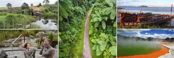 Optional trip to Hobbiton & Rotorua Activities