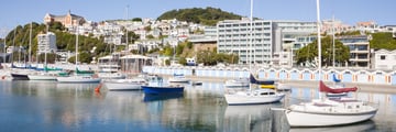 Oriental Bay Marina, Wellington