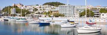 Oriental Bay marina, Wellington