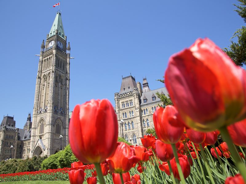 ottawa peace tower with bright tulips outside