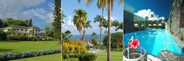Ottley's Plantation Inn, Exterior, Gardens and Pool