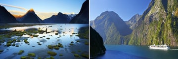 Overnight Cruise on Milford Sound, Fiordland