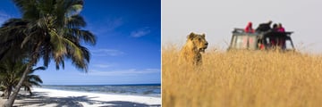 Palm fringed Mombasa beach & Masai Mara game drive