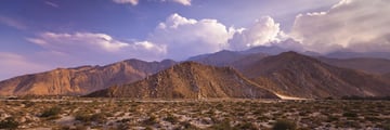 Palm Springs